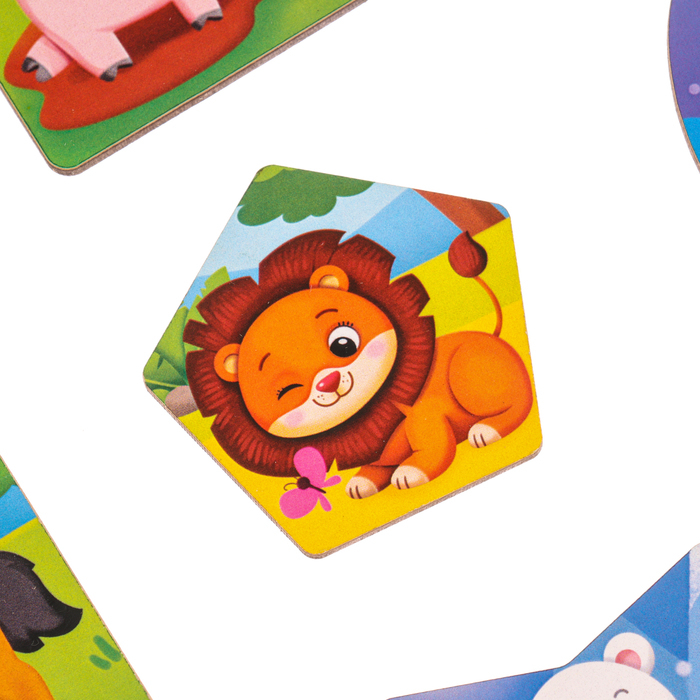 Досочки Сегена &laquo;Кто где живёт&raquo;