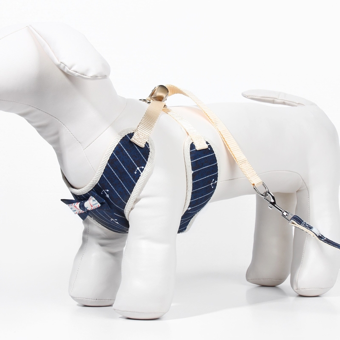 Комплект с мягкой шлейкой Комплект с мягкой шлейкой "Якорь", размер M, поводок, 120 х 1,5 см, ОГ 34-66 см, синий