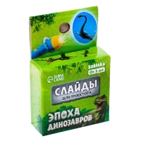 Слайды для проектора &laquo;Эпоха динозавров&raquo;, набор, 3 слайда, 24 картинки