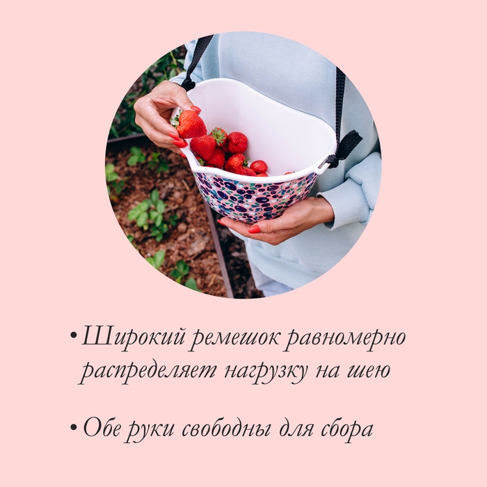 Ёмкость для сбора ягод, 3 л, &laquo;Ягодный&raquo;, белая