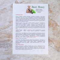 Свеча магическая медовая с базиликом для привлечения денег &laquo;Basil-Money&raquo;, 12 штук