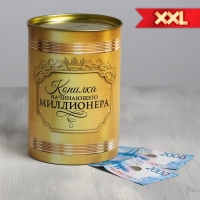 Копилка XXL &laquo;Начинающего миллионера&raquo;, 20 х 12,5 см