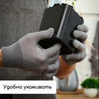 Набор для рассады: стаканы по 700 мл (10 шт.), поддон 44 &times; 18 см, чёрный, Greengo