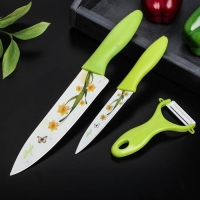 Набор кухонных принадлежностей Доляна &laquo;Нарцисс&raquo;, 3 предмета: 2 ножа с антиналипающим покрытием, лезвие 12 см, овощечистка, 20&times;4 см, цвет зелёный