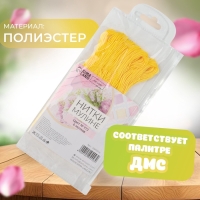 Набор ниток мулине №973, 8 ± 1 м, 6 шт, цвет ярко-жёлтый Набор ниток мулине №973, 8 ± 1 м, 6 шт, цвет ярко-жёлтый