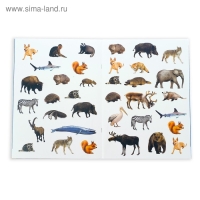 Наклейки &laquo;Мои первые энциклопедии&raquo;, набор 4 шт. по 8 стр., формат А4