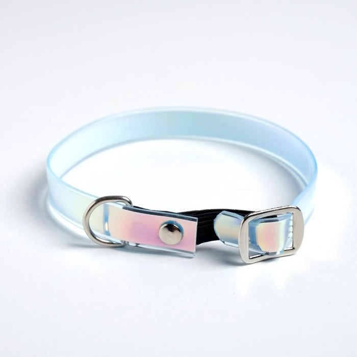 Ошейник для собак и кошек с фастексом &laquo;Неон&raquo; , 30 х 1 см