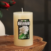 Свеча-цилиндр ароматическая "Гардения жасминовидная", 6х10 см