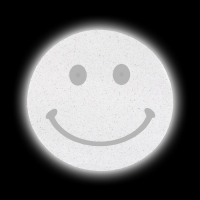 Светоотражающая термонаклейка &laquo;Смайл&raquo;, d = 5 см, 5 шт, цвет серый