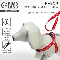 Комплект Keep calm & carry on, шлейка 36-49 см, поводок 120х1,5 см Комплект Keep calm & carry on, шлейка 36-49 см, поводок 120х1,5 см