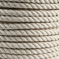 Канат хлопчатобумажный 10 мм (120 м) белый