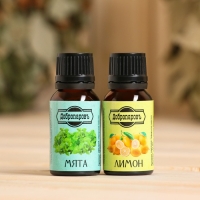Набор эфирных масел лимон, мята "Добропаровъ", 2 шт по 17 мл Набор эфирных масел лимон, мята "Добропаровъ", 2 шт по 17 мл