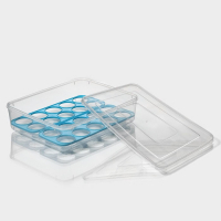 Контейнер для хранения яиц Доляна, 20 ячеек, 27,5&times;22&times;7 см, цвет МИКС