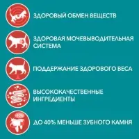 Влажный корм Purinа One для стерилизованных кошек, курица/фасоль, 75 г