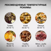 Сушка для фруктов и овощей HYFD-P1203