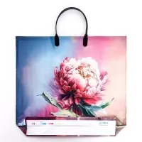 Пакет &laquo;Сандра&raquo;, полиэтиленовый с пластиковой ручкой, 37&times;34 см, 90 мкм