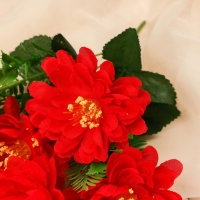 Букет "Хризатема Анабелла" 7х30 см, микс Букет "Хризатема Анабелла" 7х30 см, микс