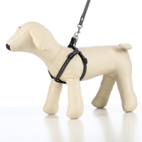 Комплект амуниции "Горошек", ширина 1 см, шлейка 27-42 см, поводок 120 см, чёрный