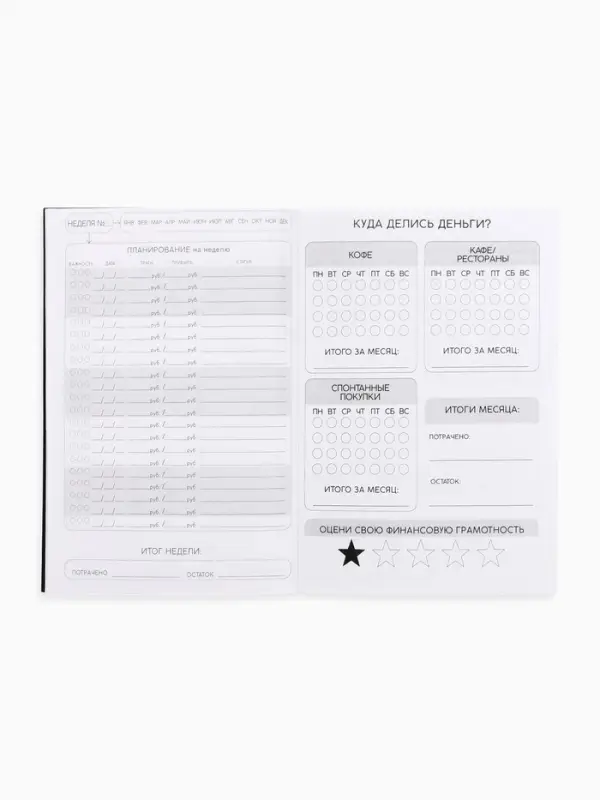 Блокнот для планирования финансов А6, 52 л "Дневник бюджета"