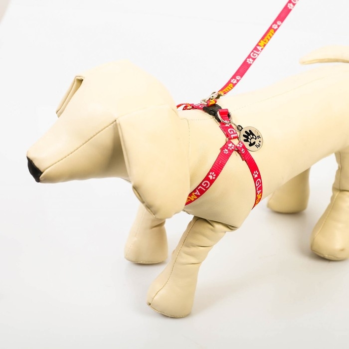 Комплект &laquo;Ты и я&raquo;, шлейка 26-39 см, поводок 120х1 см, медальон