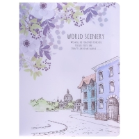 Папка А4, "Города" 30 прозрачных файлов, пластик, 400 мкм, МИКС Папка А4, "Города" 30 прозрачных файлов, пластик, 400 мкм, МИКС