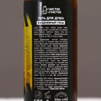 Подарочный набор ЧИСТОЕ СЧАСТЬЕ &laquo;23 февраля: Сильному духом&raquo; гель для душа, 4&times;100 мл