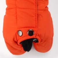 Комбинезон "Тренд", оксфорд, 2XL (ДС 43, ОШ 41, ОГ 53 см, вес 16-20 кг), оранжевый