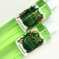 Подарочный набор ЧИСТОЕ СЧАСТЬЕ &laquo;Исполнения желаний&raquo;: гель для душа и пена для ванны, 2х250 мл, Новый Год