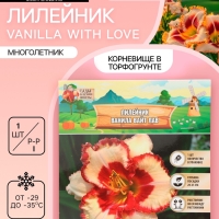 Лилейник Vanilla With Love, многолетник, корневище в пакете с торфогрунтом, р-р I, 1 шт.