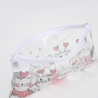 Косметичка-пенал на молнии, цвет прозрачный Косметичка-пенал на молнии, цвет прозрачный