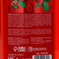 Шампунь для волос, питающий уход, аромат малины, 400 мл, Рябина