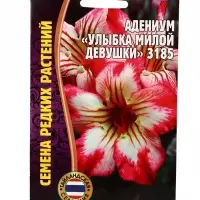Семена цветов Адениум Улыбка Милой Девушки 3185  3 шт.  12.29 г.