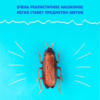 Жучок &laquo;Таракан&raquo;, работает от батареек