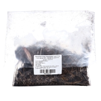 Лилия Восточная "Касабланка", р-р 12/14, 3 шт, Весна 2025, ЭКОНОМ,