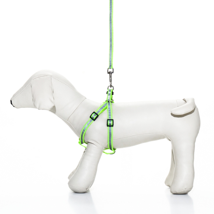 Комплект со светоотражающей лентой, ошейник 120 х 1 см, ОГ 26-40 см, зеленый