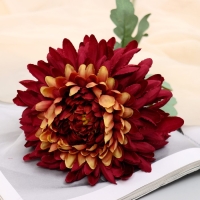 Цветы искусственные "Хризантема садовая галант" 14х57 см, бордовый
