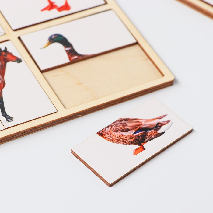 Картинки-половинки &laquo;Домашние животные&raquo;