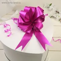 Бант - шар №3 простой, малиновый