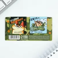 Магнитные закладки для книг, 2 шт., 4&times;4 см, на подложке &laquo;Кот&raquo;