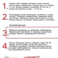 Семена Петрушка "Обыкновенная листовая", 2 г