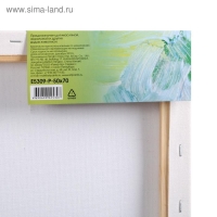 Холст на подрамнике, хлопок 100%, 50 х 70 х 1.8 см, акриловый грунт, мелкозернистый, 280 г/м&sup2;