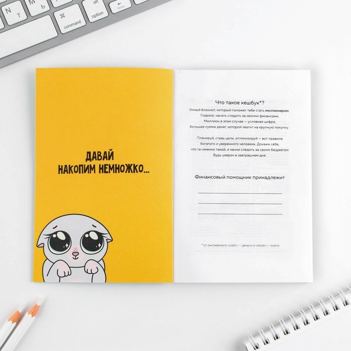 Умный блокнот CashBook А6, 68 листов &laquo;Денежный кот&raquo;