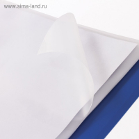 Файл-вкладыш А4, 110 мкм, BRAUBERG, плотный, вертикальный, 50 штук Файл-вкладыш А4, 110 мкм, BRAUBERG, плотный, вертикальный, 50 штук