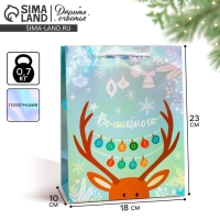 Пакет голографический &laquo;Волшебного&raquo;, MS 18 х 23 х 10 см, Новый год