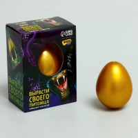 Набор для творчества. Вырасти своего питомца «Змея» Набор для творчества. Вырасти своего питомца «Змея»