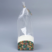 Пакет с коробкой &laquo;Новогодняя ботаника&raquo;, 12 х 12 х 40 см, Новый год