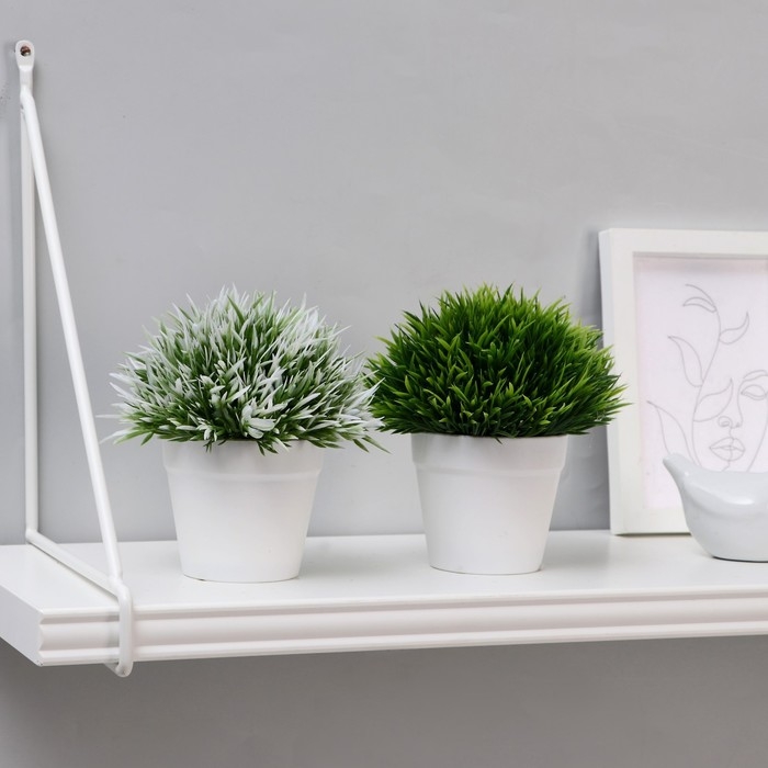 Бонсай Бонсай "Цветная травка" 12 см, микс