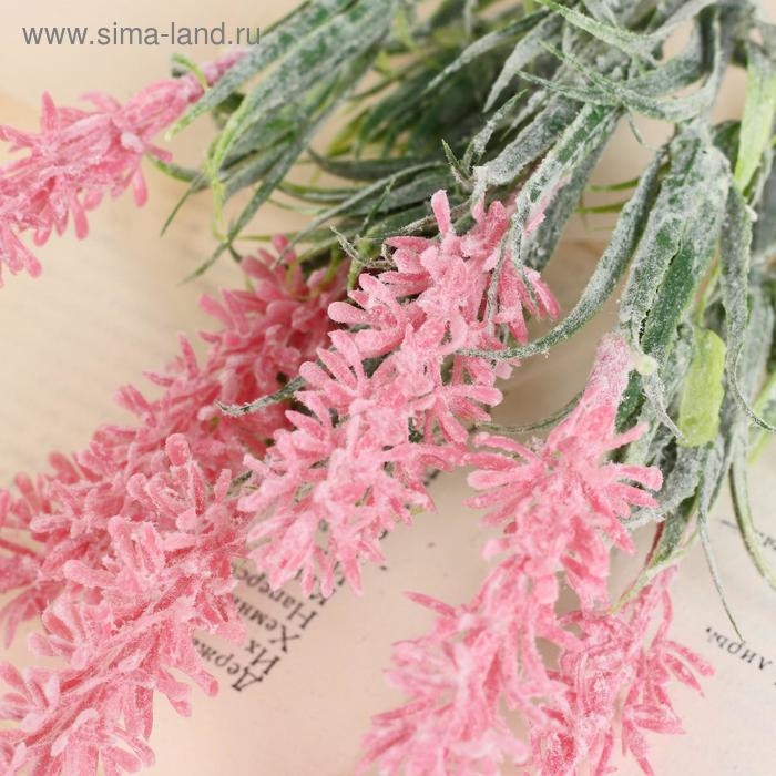 Букет Букет "Кипрей" с напылением, 26 см, микс