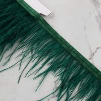 Тесьма с перьями страуса, 8-10 см, 5 ± 0,5 м, цвет изумрудный Тесьма с перьями страуса, 8-10 см, 5 ± 0,5 м, цвет изумрудный