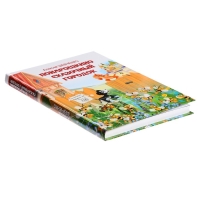 Книжка &laquo;Понарошкино. Сказочный городок&raquo;, Шевченко А. А.